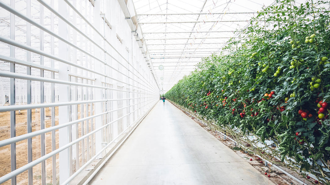Pesticides in drinking water - what can be done about it? | DrinkPure